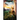 Splendor of Dawn