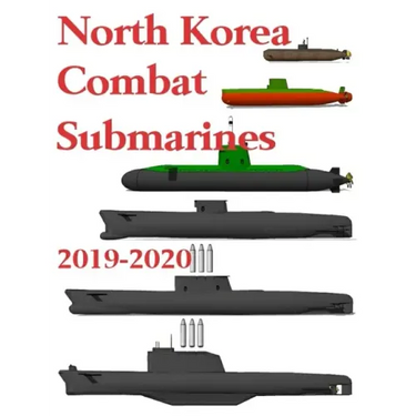 North Korea Combat Submarines: 2019 - 2020