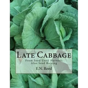 Late Cabbage: From Seed Until Harvest; Also Seed Raising
