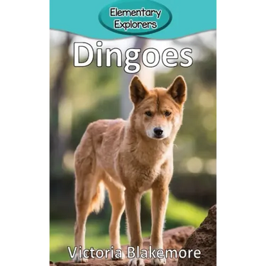 Dingoes