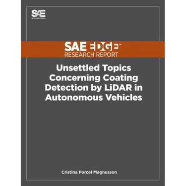 Unsettled Topics Concerning Coating Detection by LiDAR in Autonomous Vehicles