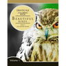 Beautiful Birds Volume 1: Grayscale coloring books for adults Relaxation (Adult Coloring Books Series, grayscale fantasy coloring books)