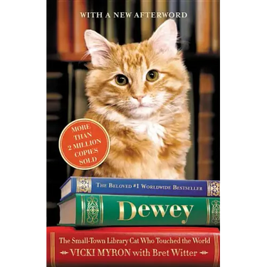 Dewey: The Small-Town Library Cat Who Touched the World