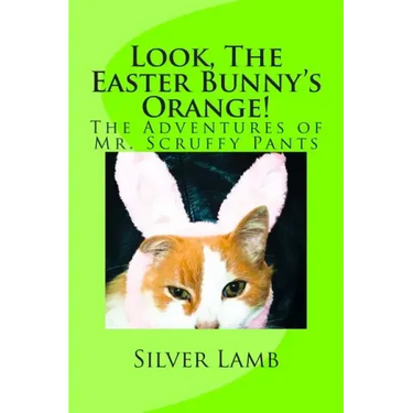 Look, The Easter Bunny's Orange: The Adventures of Mr. Scruffy Pants