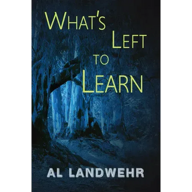 What's Left to Learn