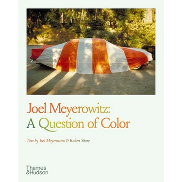 Joel Meyerowitz: A Question of Color