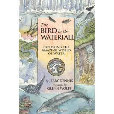 The Bird in the Waterfall: Exploring the Wonders of Water