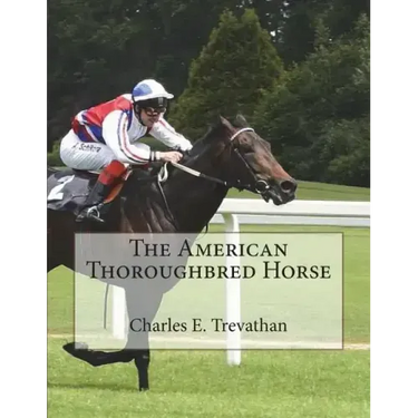 The American Thoroughbred Horse