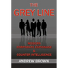 The Grey Line: Modern Corporate Espionage and Counterintelligence
