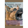 Damaged: Helping A Dog With PTSD