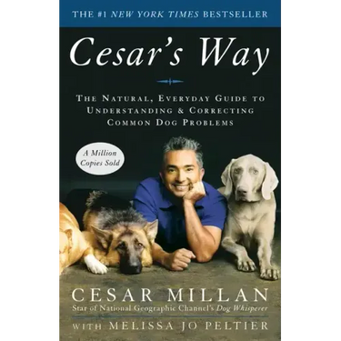 Cesar's Way: The Natural, Everyday Guide to Understanding and Correcting Common Dog Problems
