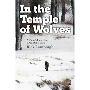 In the Temple of Wolves: A Winter's Immersion in Wild Yellowstone