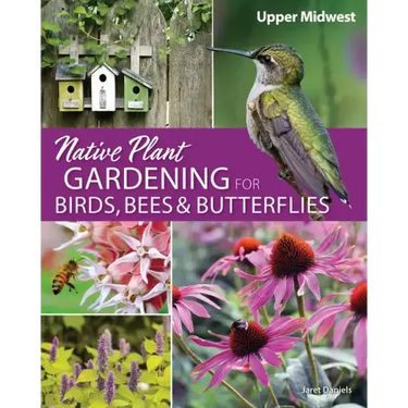 Native Plant Gardening for Birds, Bees & Butterflies: Upper Midwest