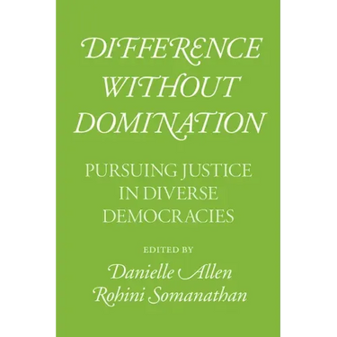 Difference without Domination: Pursuing Justice in Diverse Democracies