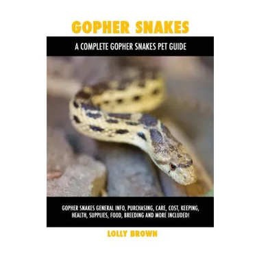 Gopher Snakes: Gopher Snakes General Info, Purchasing, Care, Cost, Keeping, Health, Supplies, Food, Breeding and More Included! A Com