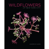 Wildflowers of New York City