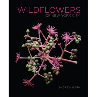 Wildflowers of New York City