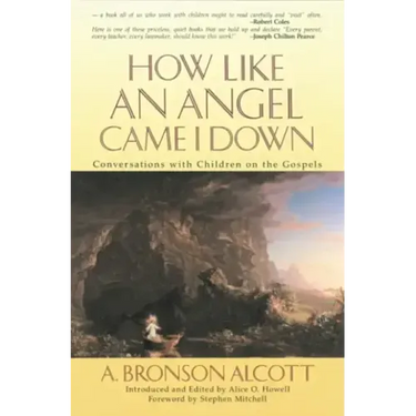 How Like an Angel Came I Down