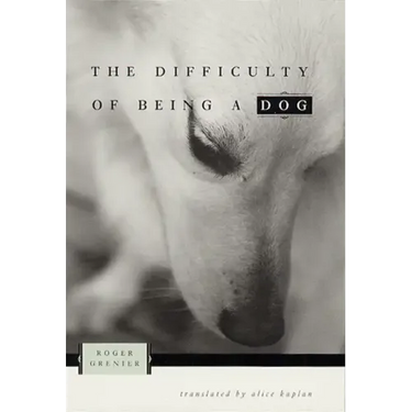 The Difficulty of Being a Dog