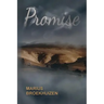 Promise