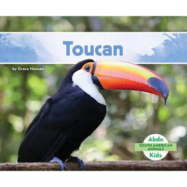 Toucan