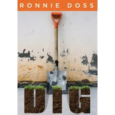 Dig