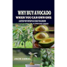 Why Buy Avocado When You Can Own One: A Step by Step Guide to Grow & Dwarf Tree