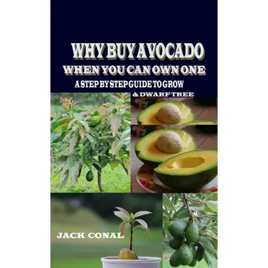 Why Buy Avocado When You Can Own One: A Step by Step Guide to Grow & Dwarf Tree