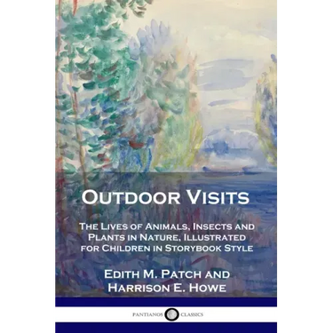 Outdoor Visits: The Lives of Animals, Insects and Plants in Nature, Illustrated for Children in Storybook Style