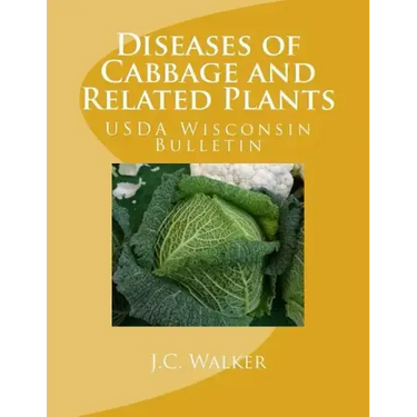 Diseases of Cabbage and Related Plants: USDA Wisconsin Bulletin