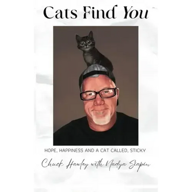 Cats Find You: Hope, happiness, and a cat called Sticky
