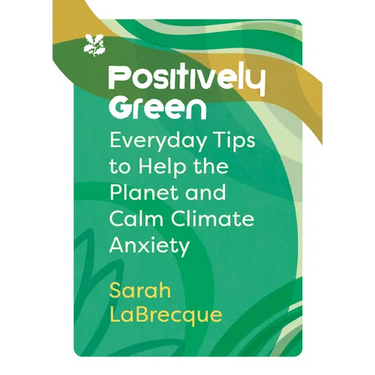 Positively Green: Everyday Tips to Help the Planet and Calm Climate Anxiety