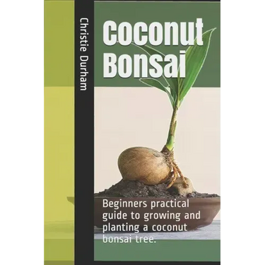 Coconut Bonsai: Beginners practical guide to growing and planting a coconut bonsai tree.