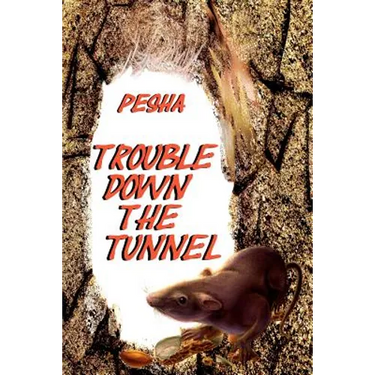 Trouble down the tunnel