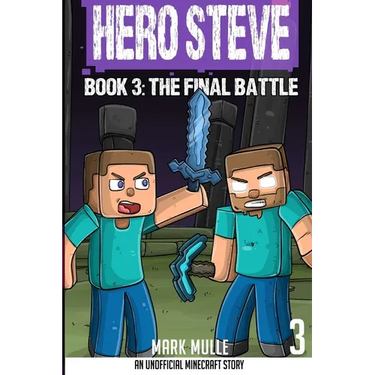 Hero Steve Book 3: The Final Battle