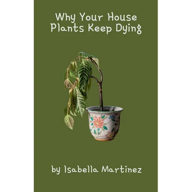 Why Your House Plants Keep Dying