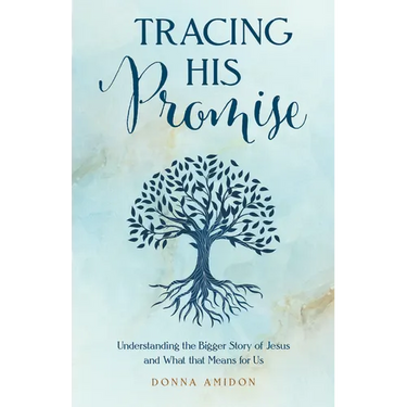 Tracing His Promise: Understanding the Bigger Story of Jesus and What That Means for Us