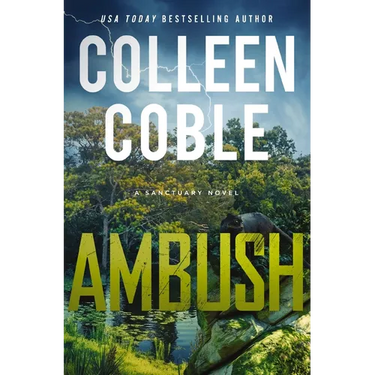 Ambush: A Small-Town Romantic Suspense