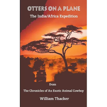 Otters On A Plane - The India/Africa Expedition