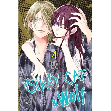 Stray Cat & Wolf, Vol. 4: Volume 4