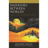 Warriors Between Worlds: Moral Injury and Identities in Crisis