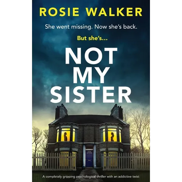 Not My Sister: A completely gripping psychological thriller with an addictive twist