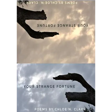 Your Strange Fortune