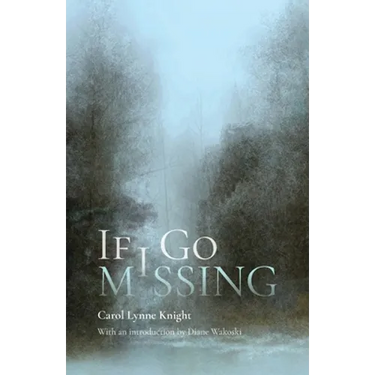 If I Go Missing