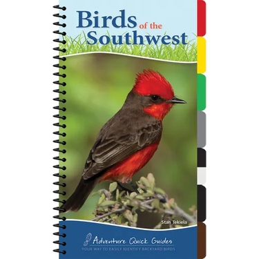Birds of the Southwest: Your Way to Easily Identify Backyard Birds