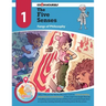 The Five Senses: Fangs of Philosophy - Adventure 1