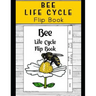 Life Cycle of Bees