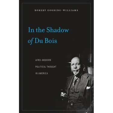 In the Shadow of Du Bois: Afro-Modern Political Thought in America