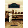 Michigan Aircraft Manufacturers