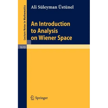 An Introduction to Analysis on Wiener Space